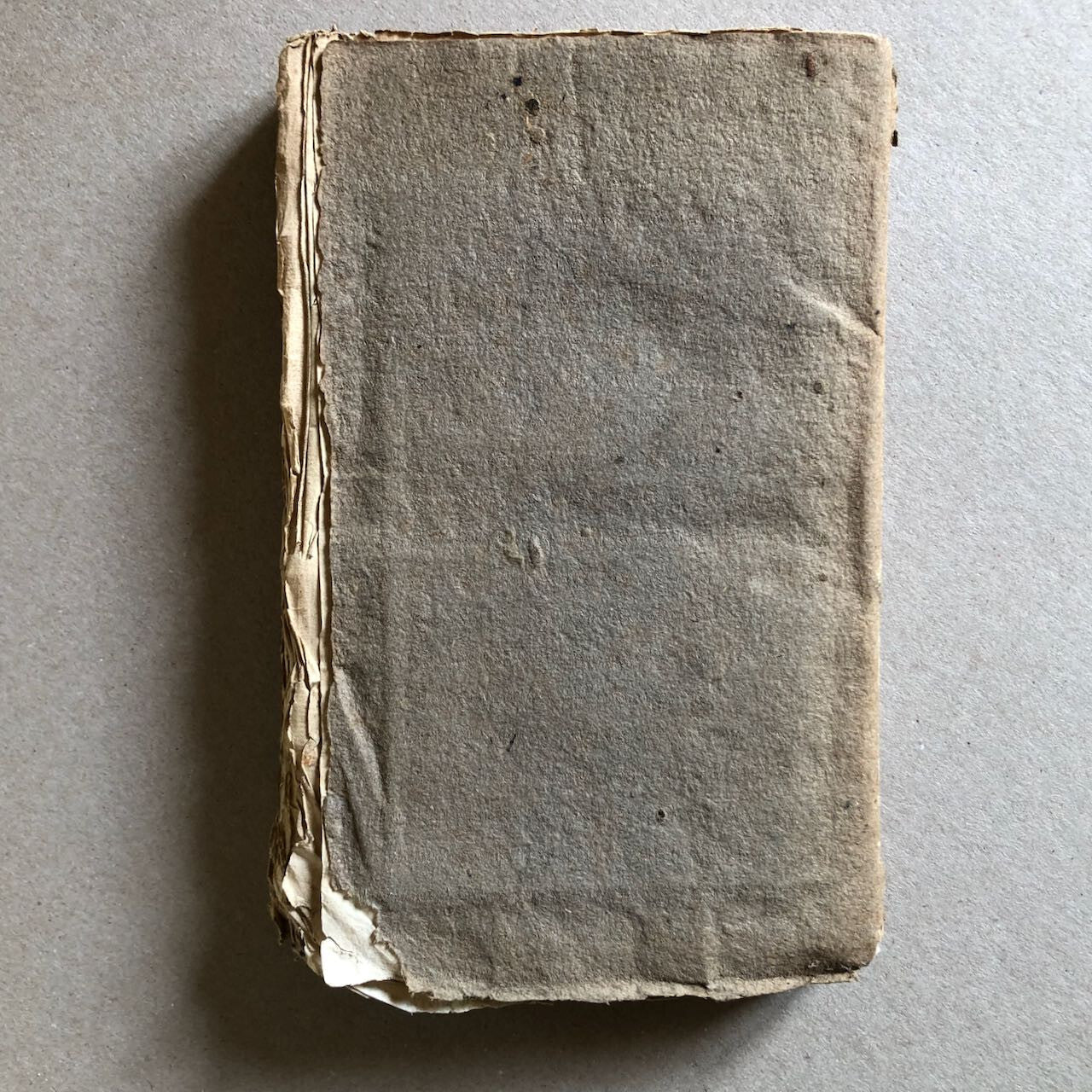 44580631