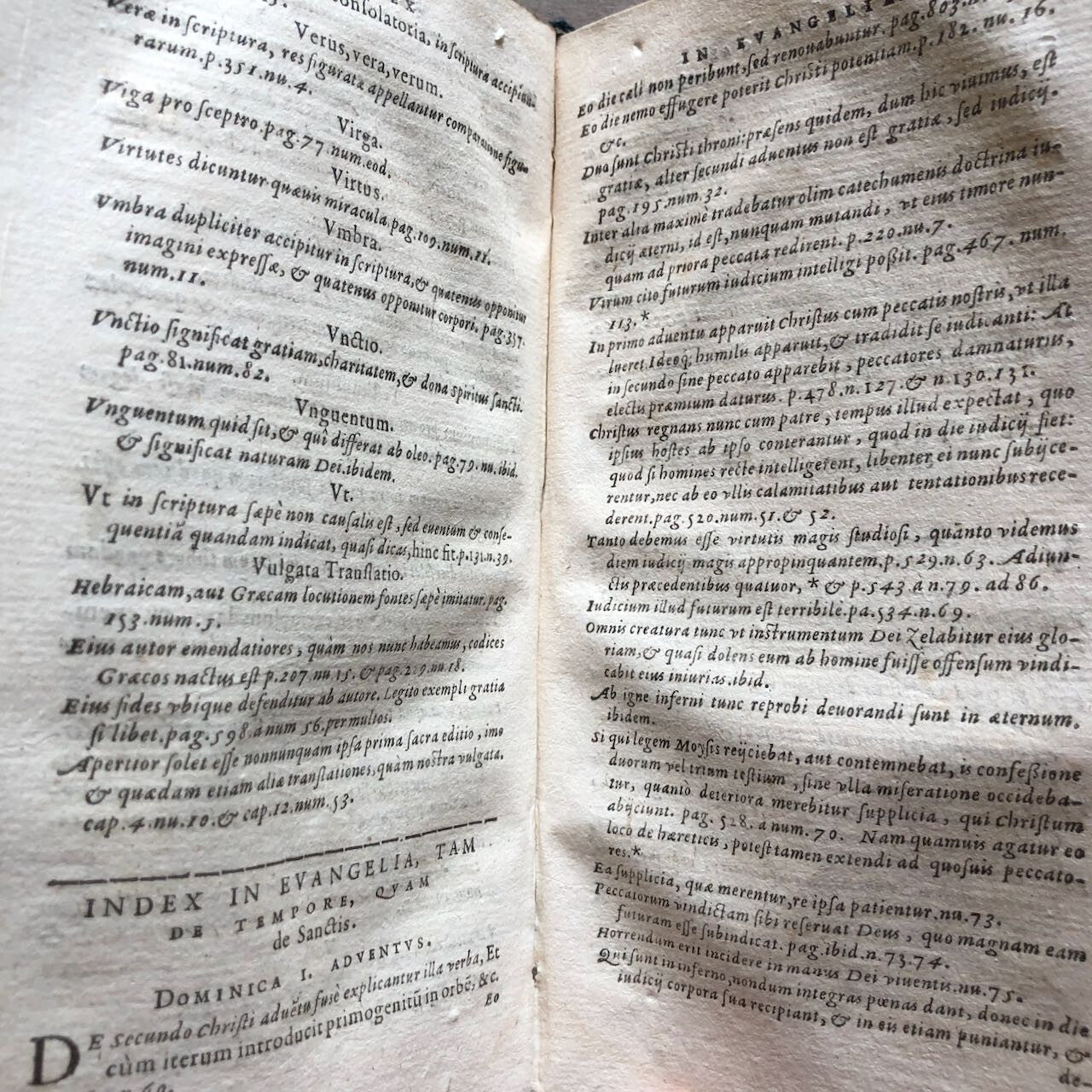 45119234