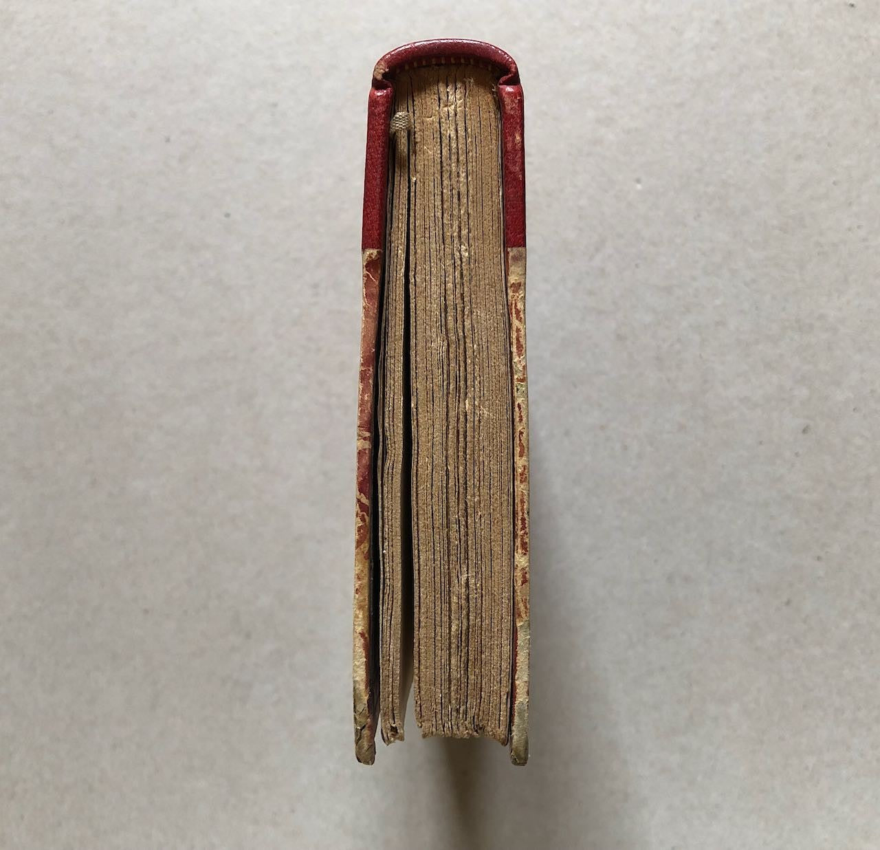 45389779