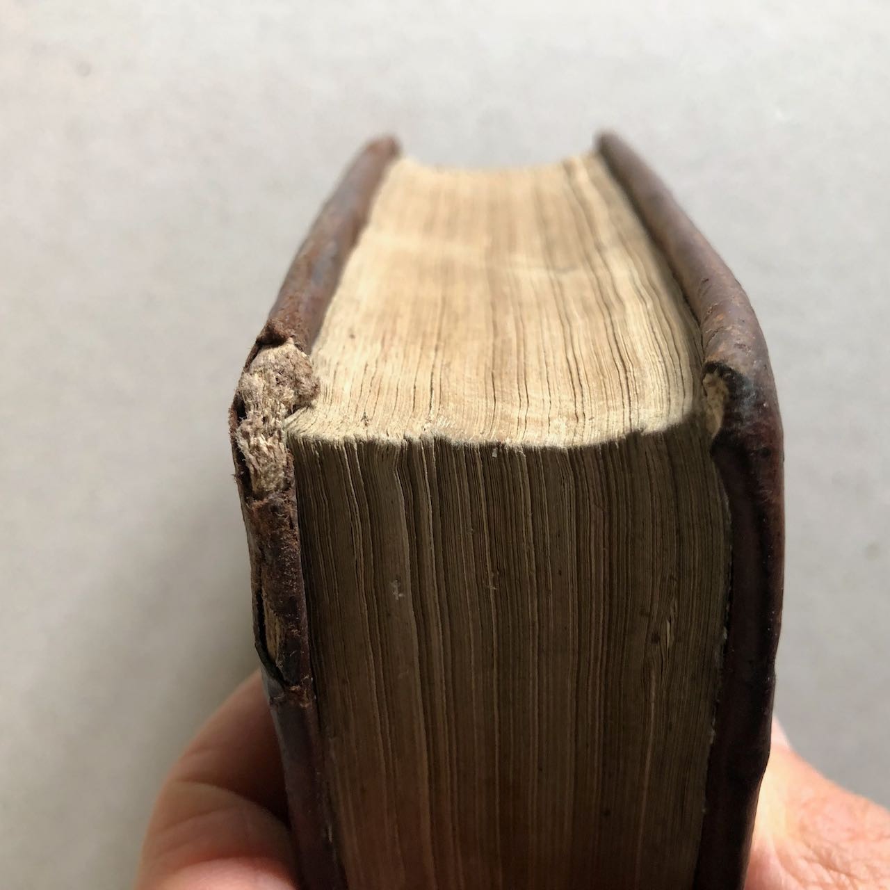 45488863