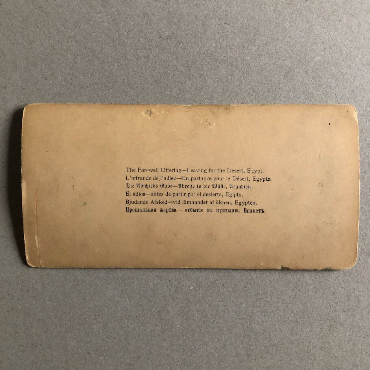 43691105