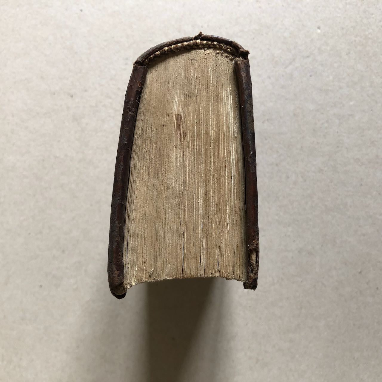 45488863