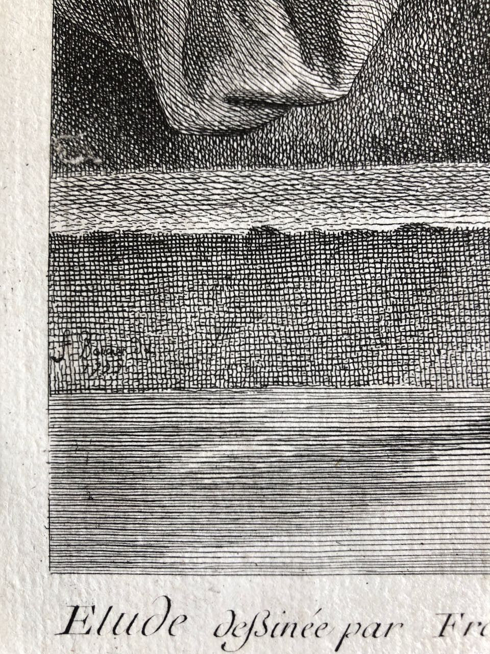 45067733