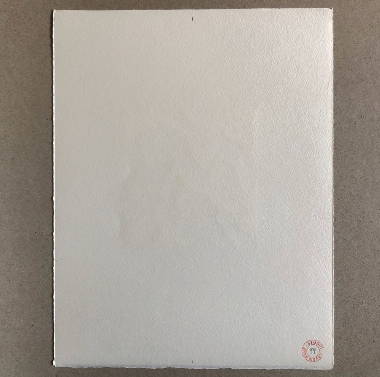 45488864