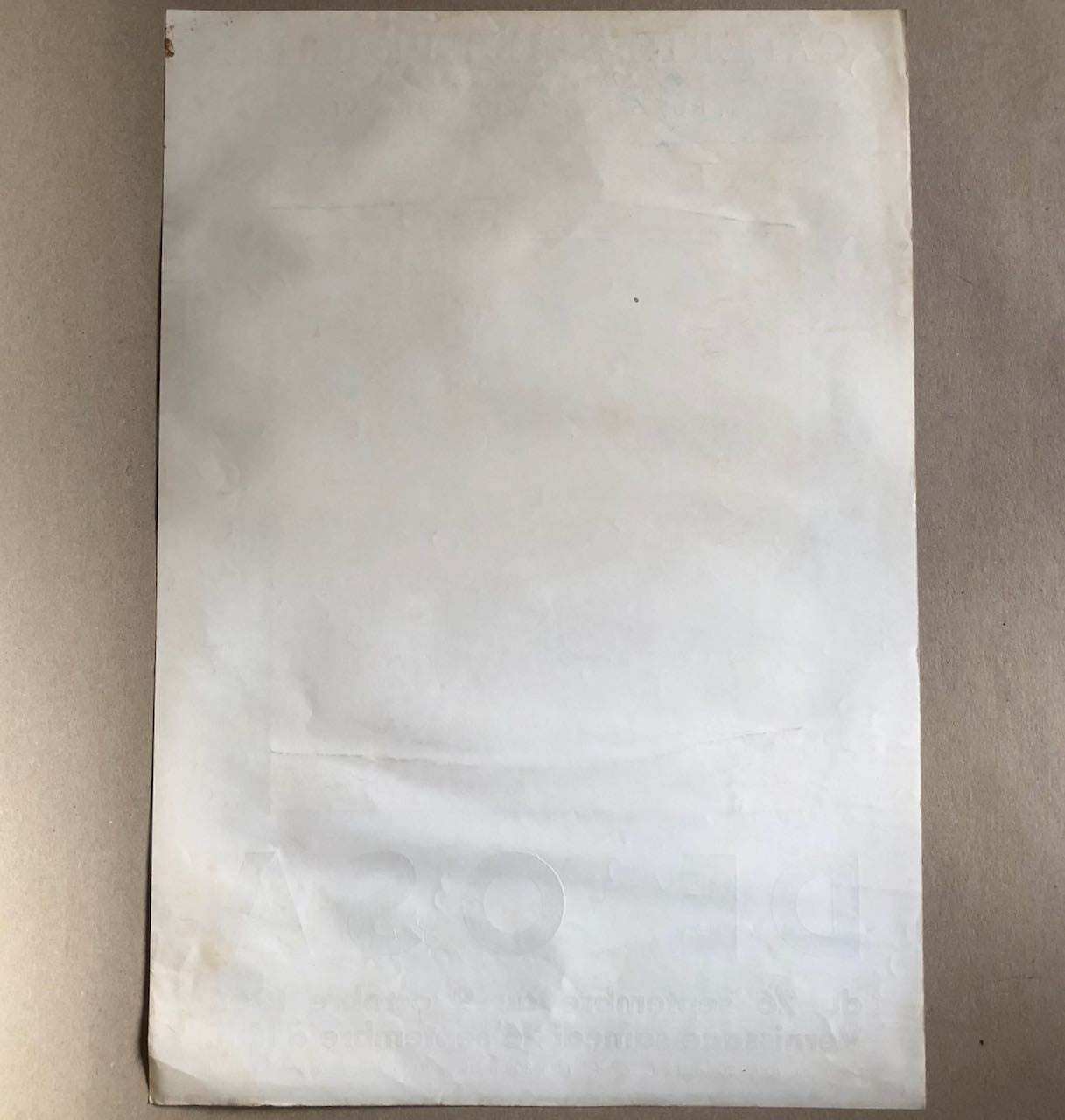 45256295