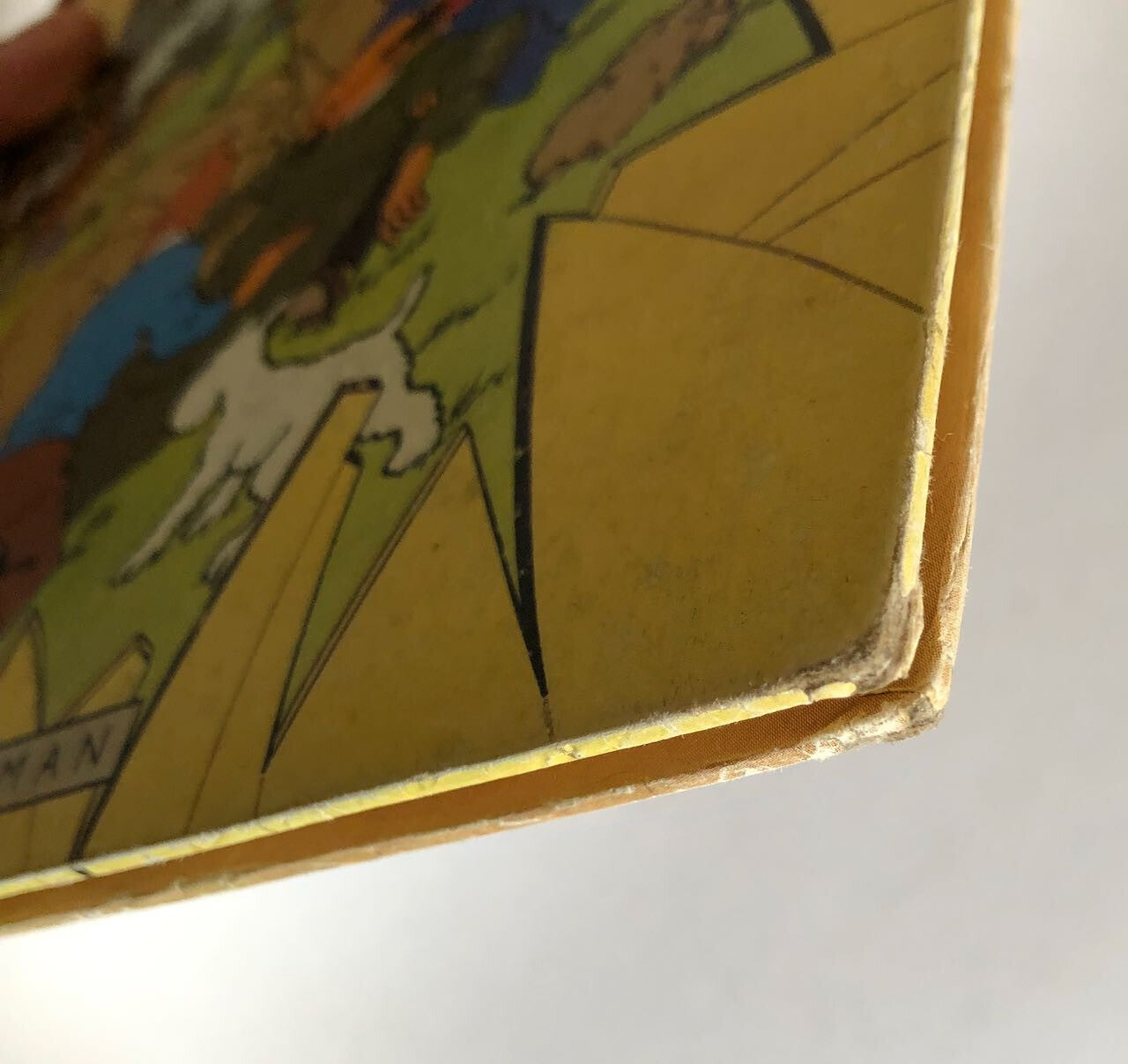 45030561