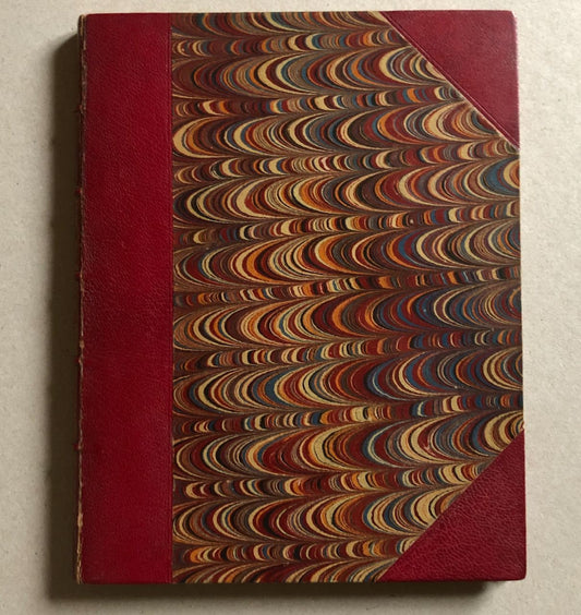 46916504
