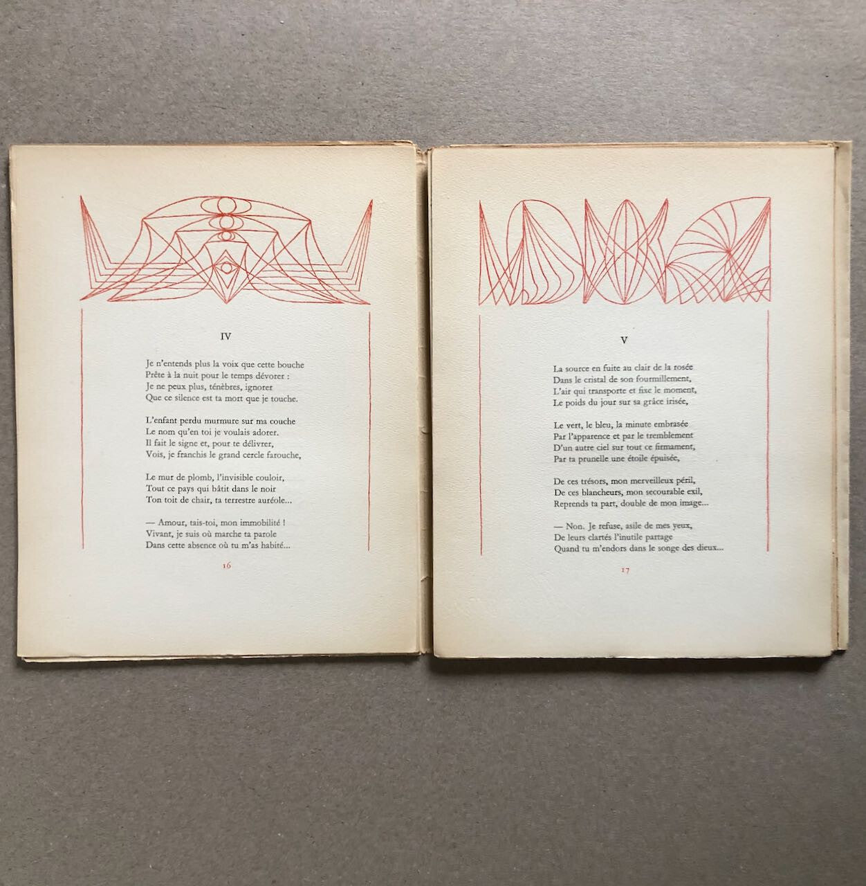 44520221