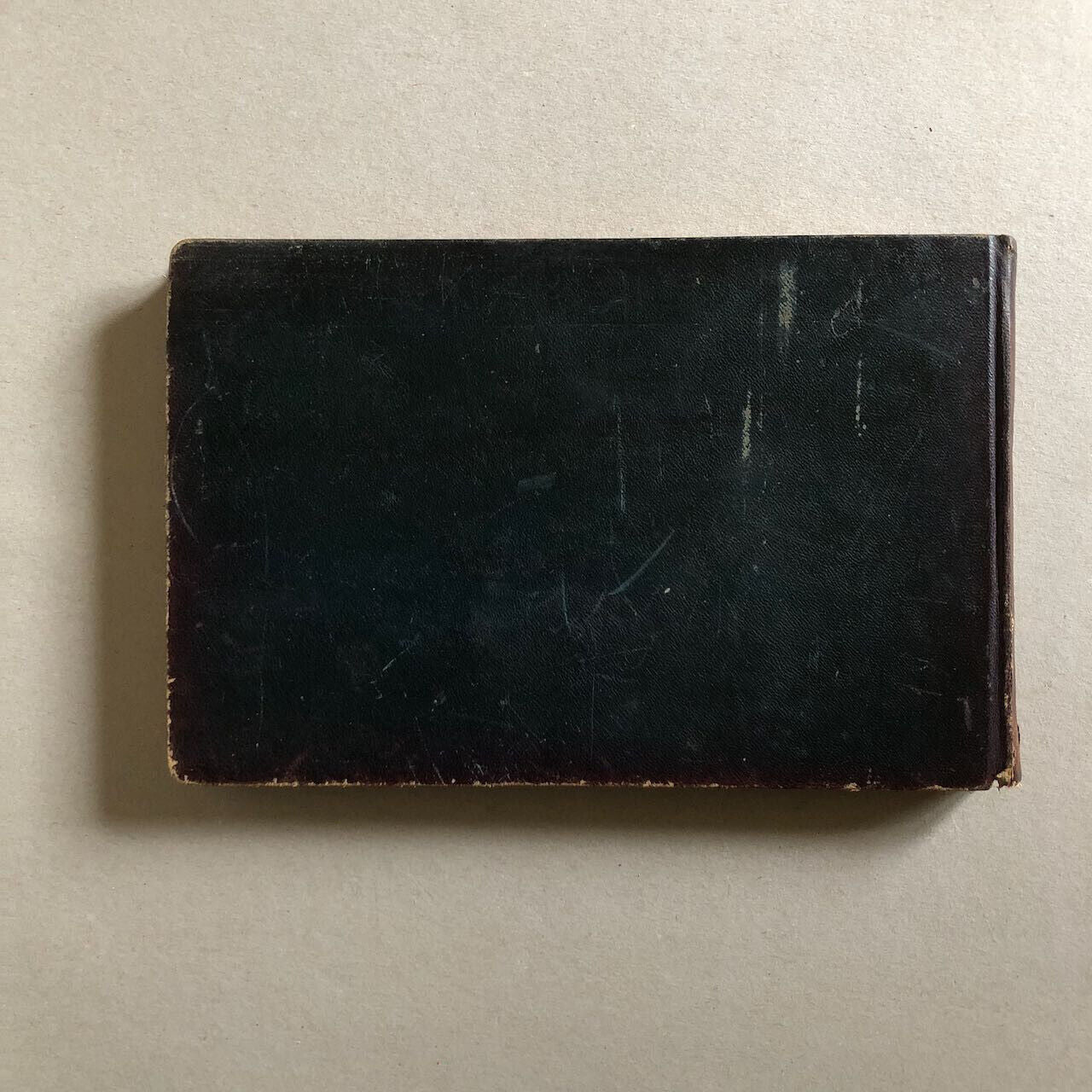 44017528