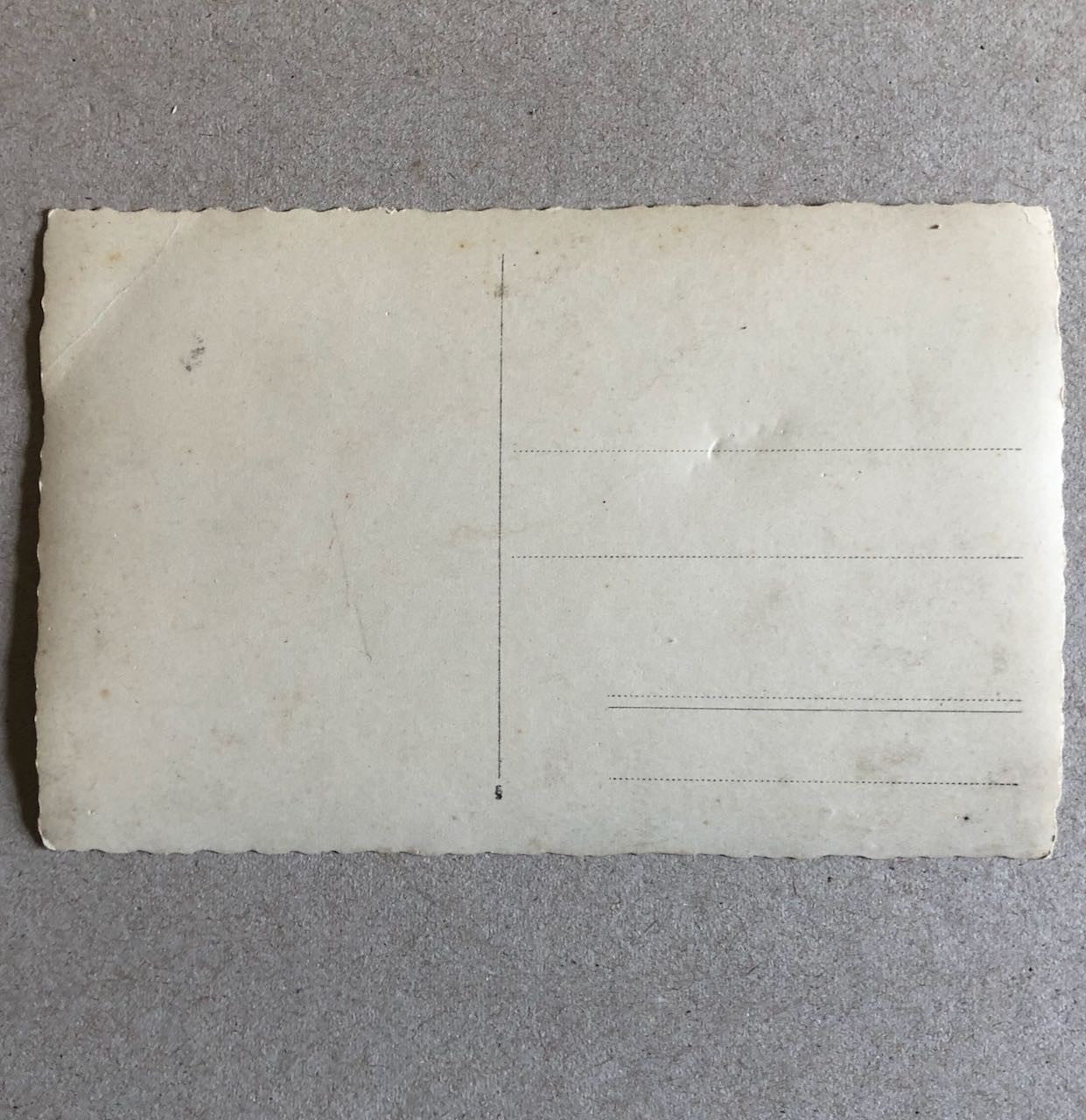 45508894