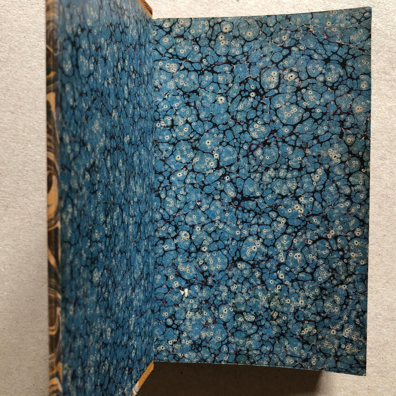 44987370