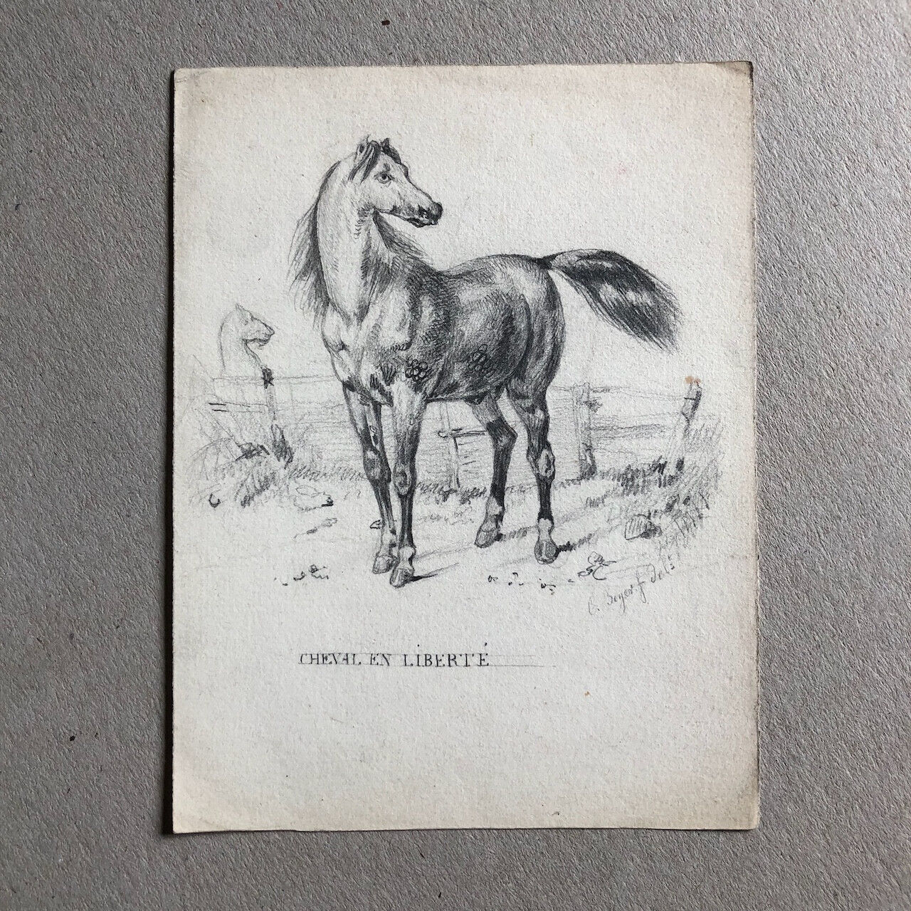 Eugène Beyer (1817-1893) — cheval en liberté — dessin au crayon signé et titré.