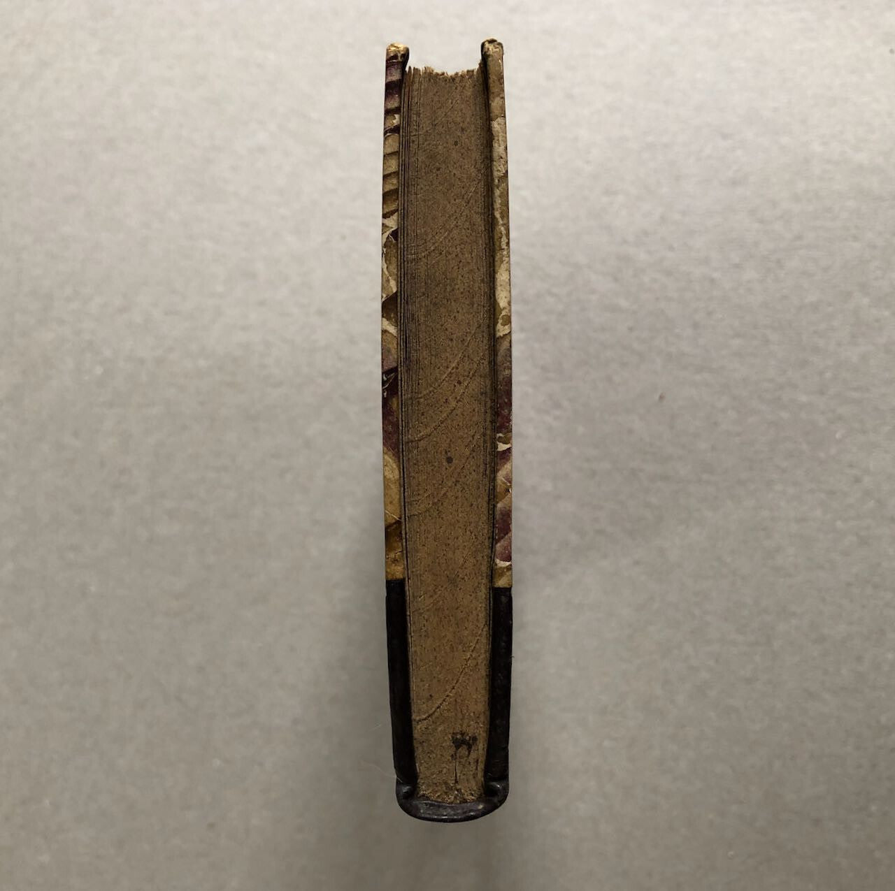 44511027