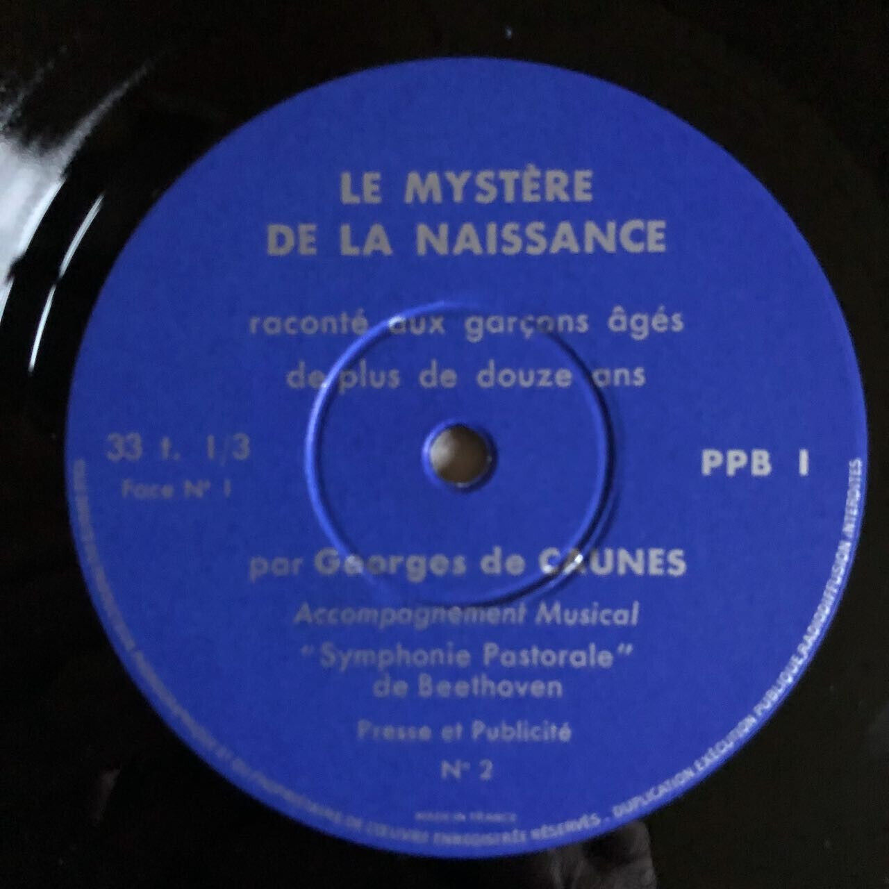 44045779