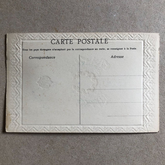 47879320