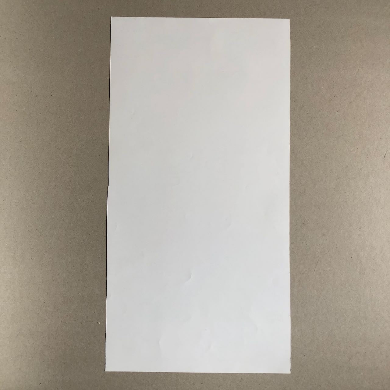 45324904