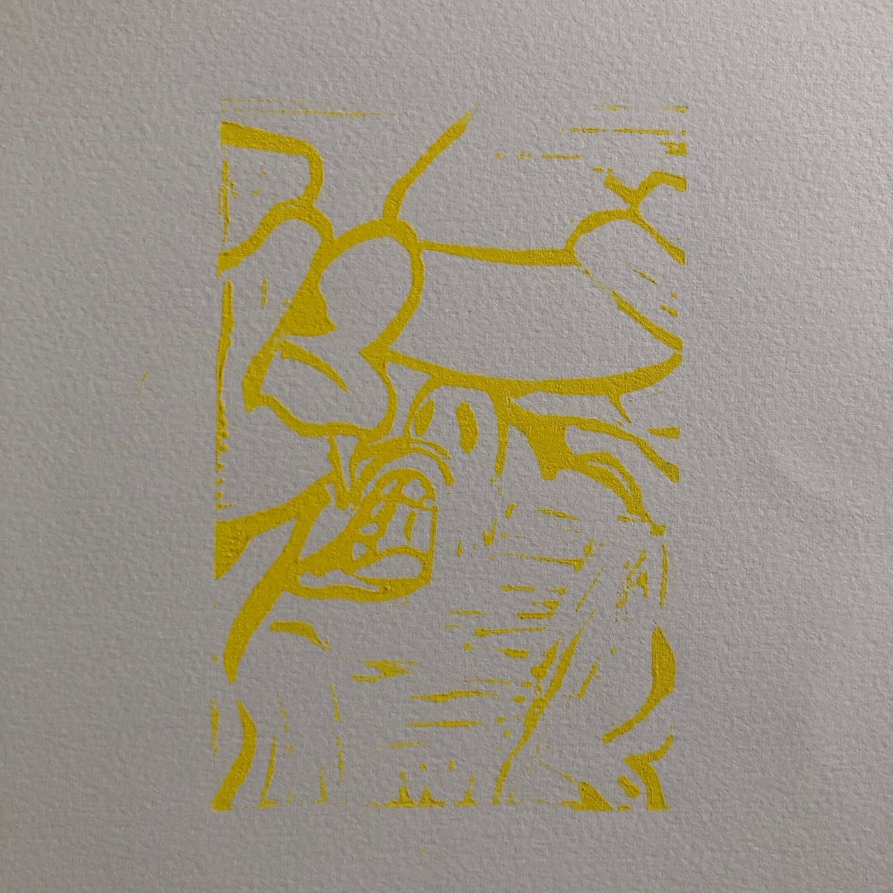 45466011