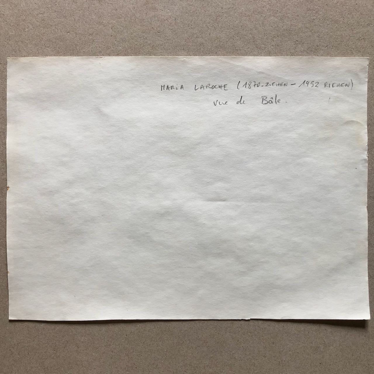 47263133