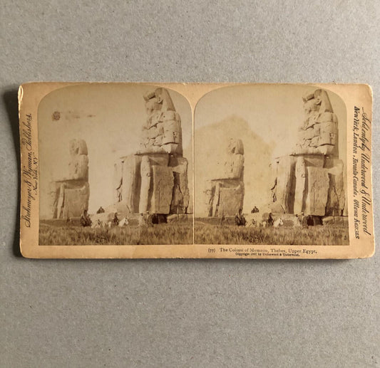 43691104
