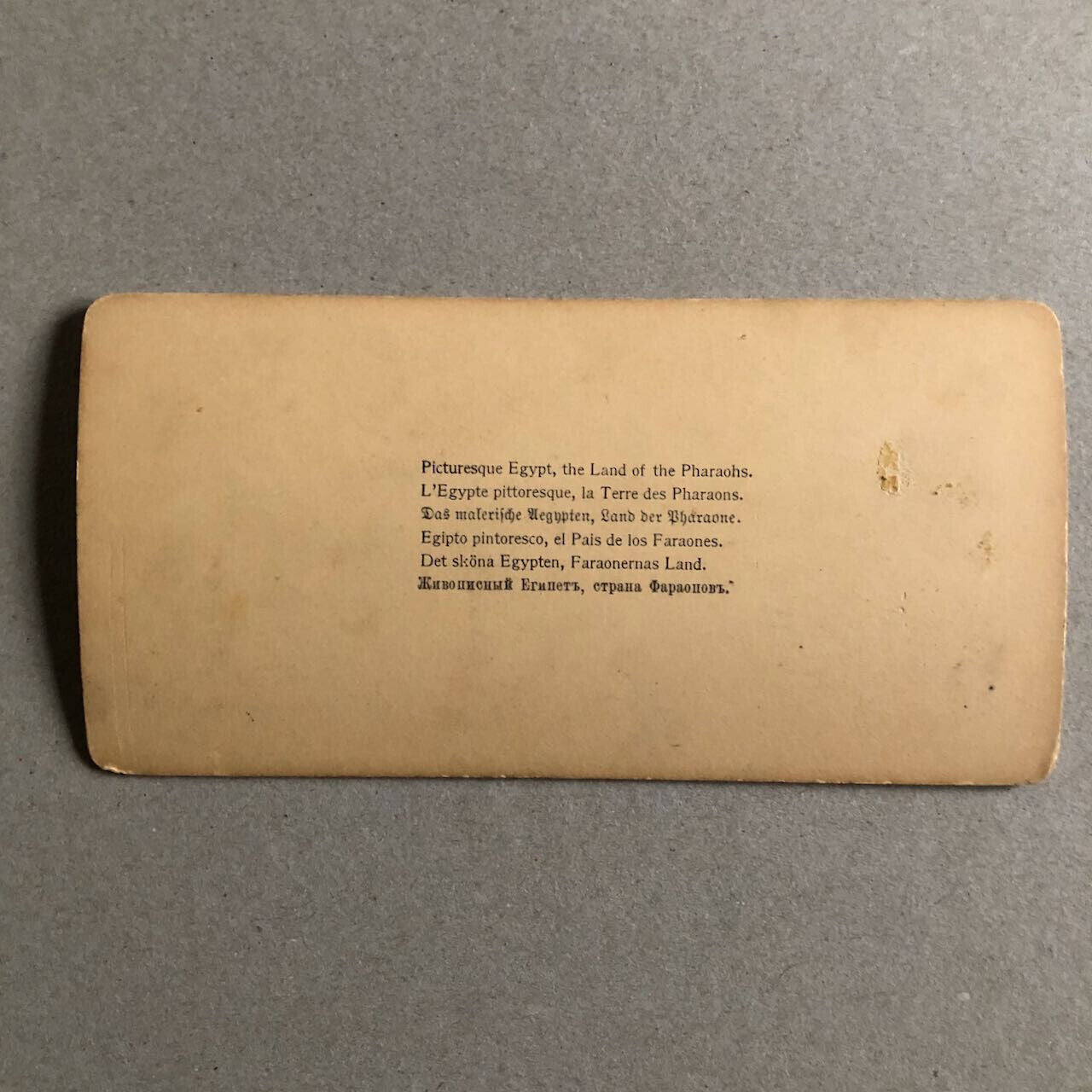 43691134