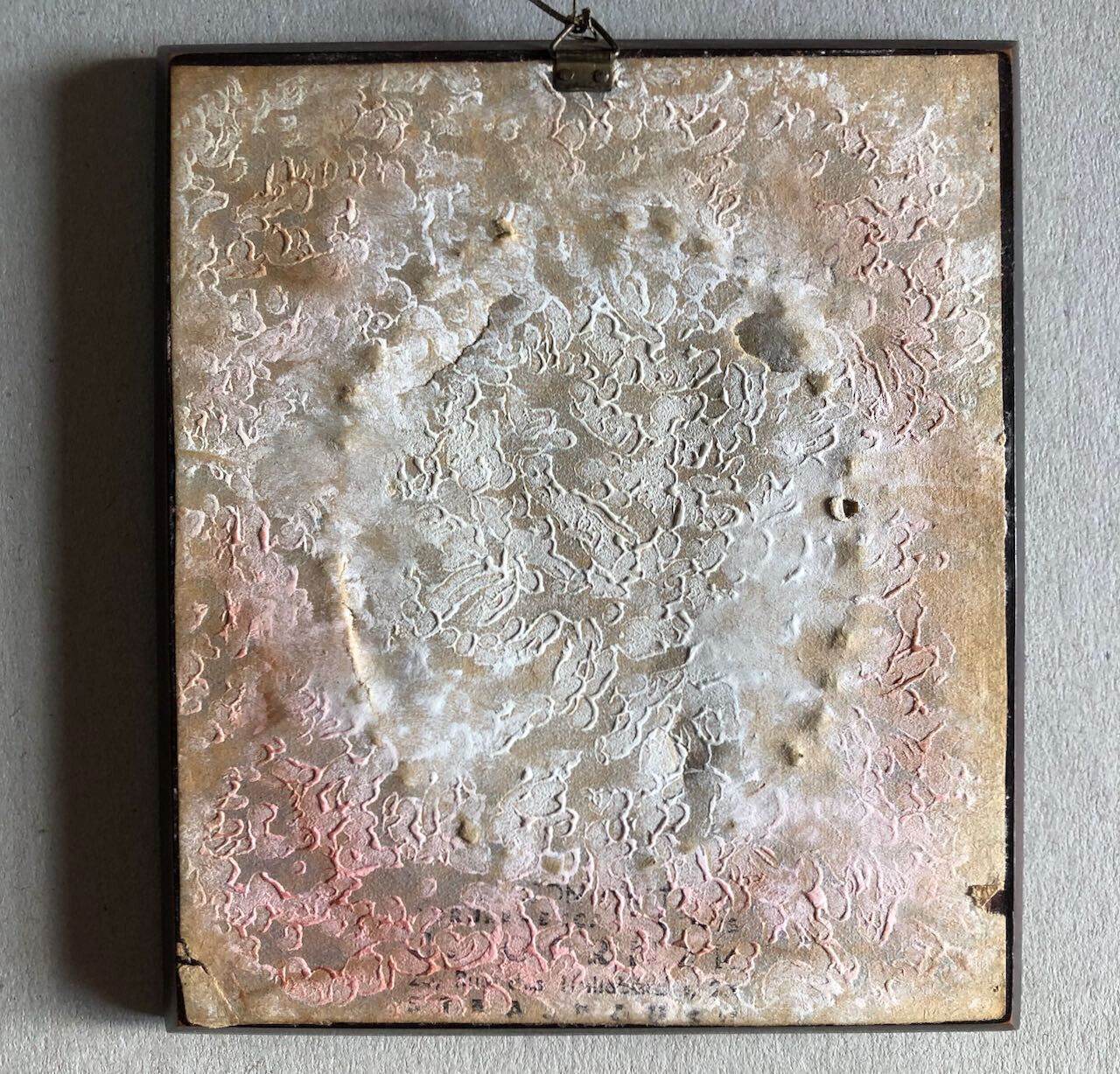 Edelweiss séchées — cadre à patine acajou, verre bombé cerclé de laiton c. 1920