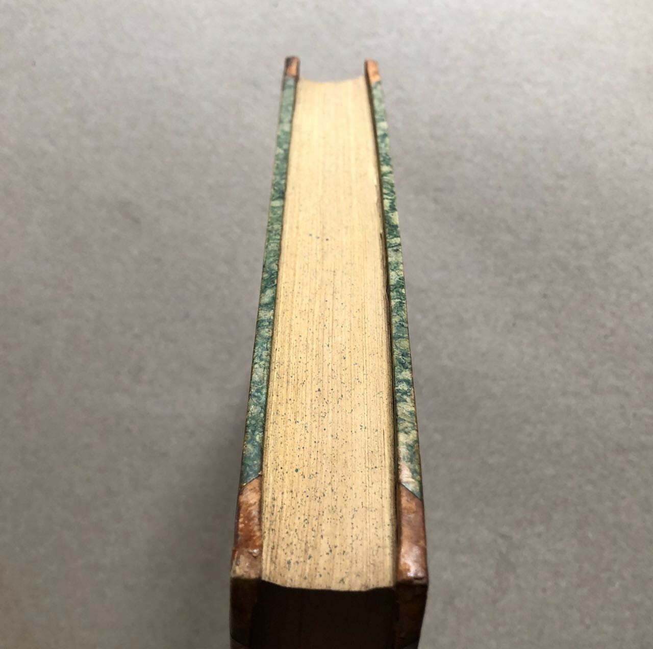 44888581