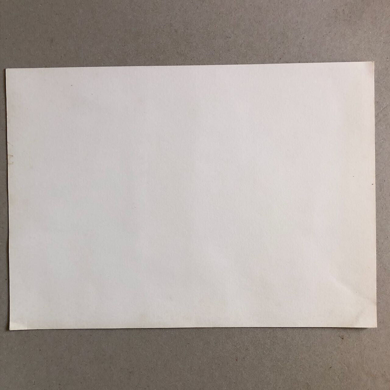 44398456