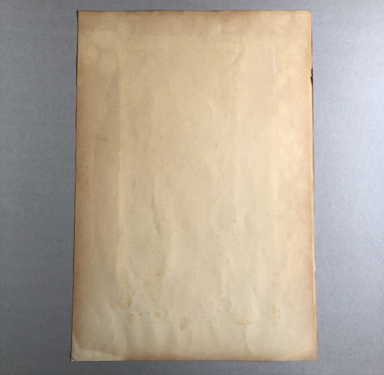 Poulbot — 1ère guerre 14-18 WW1 — lithographie signée et datée 1915 — 53 x 36 cm