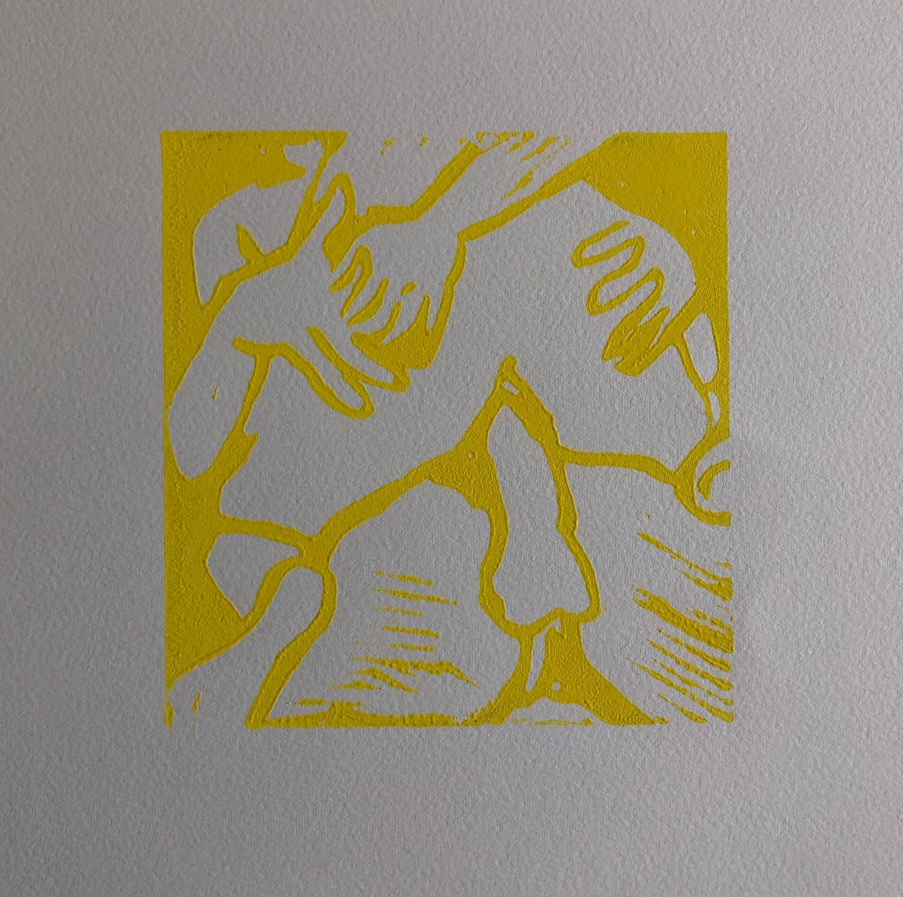45488864