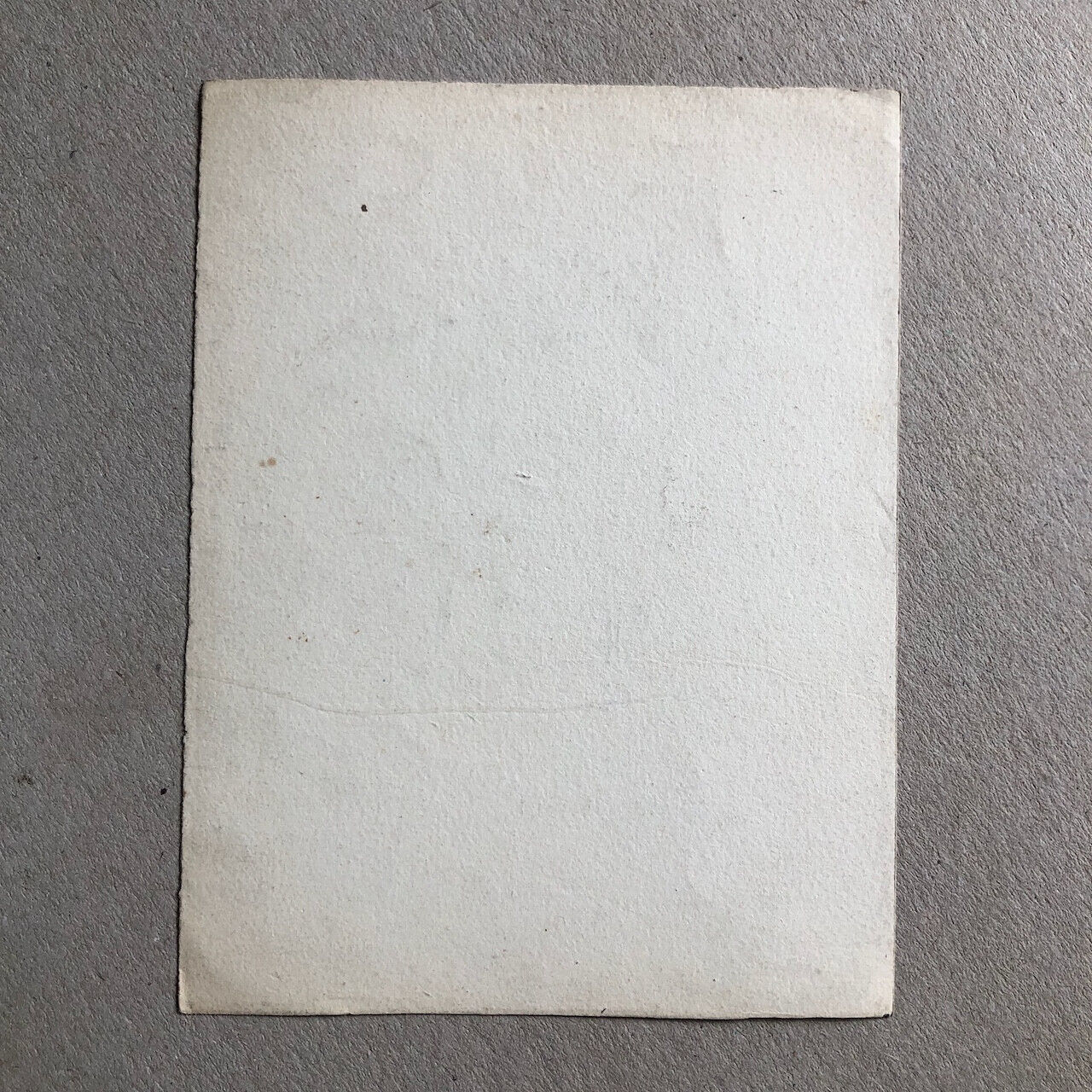 Eugène Beyer (1817-1893) — cheval en liberté — dessin au crayon signé et titré.