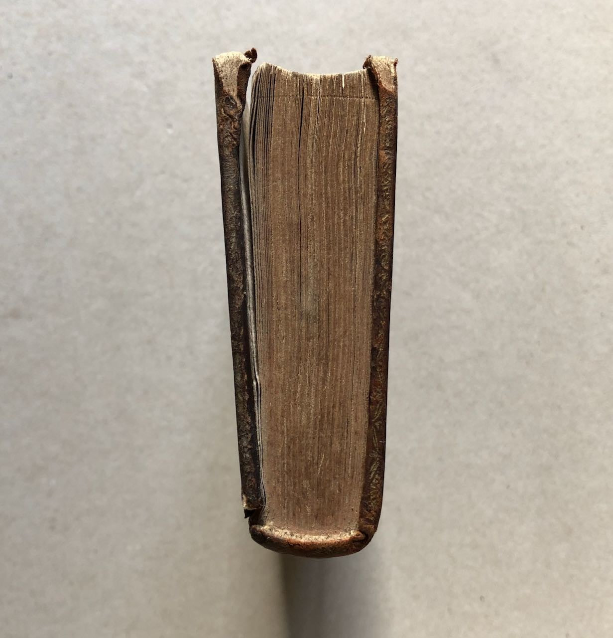 45679108