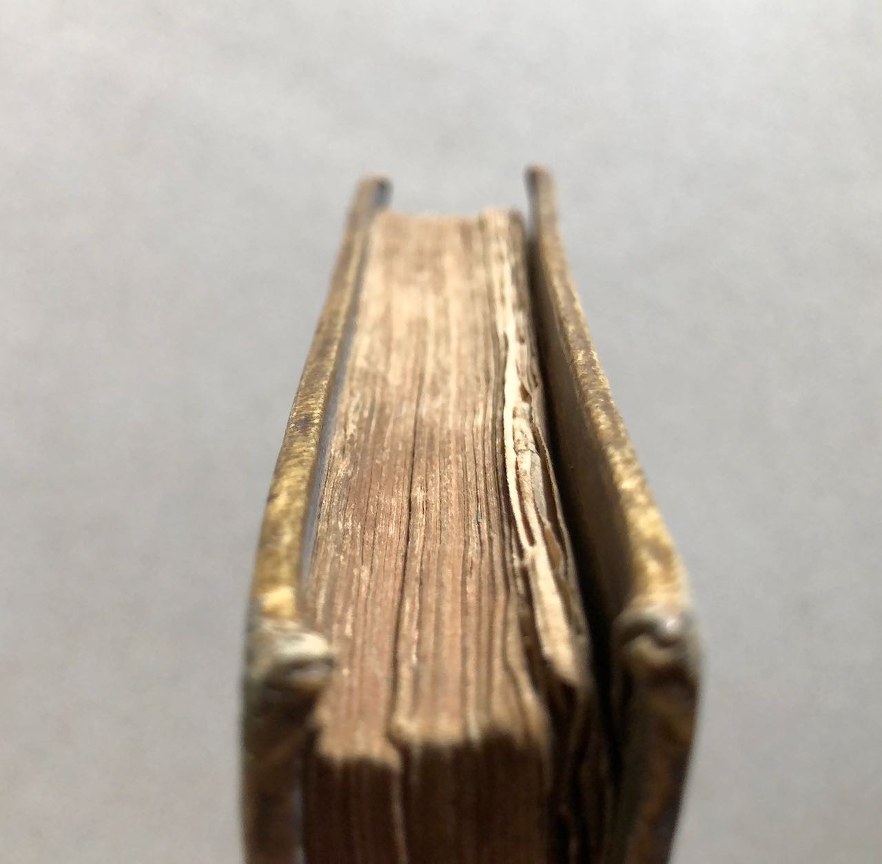 45173683