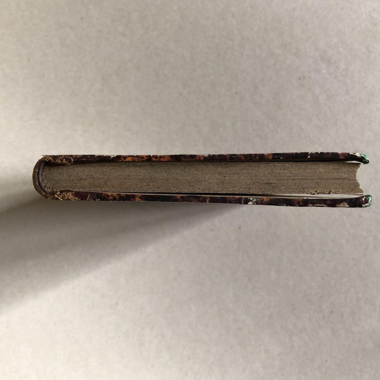 45572574