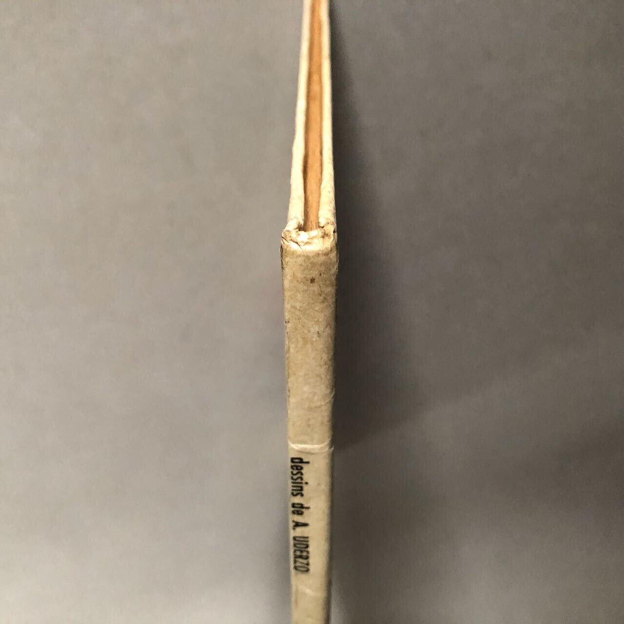 44017519