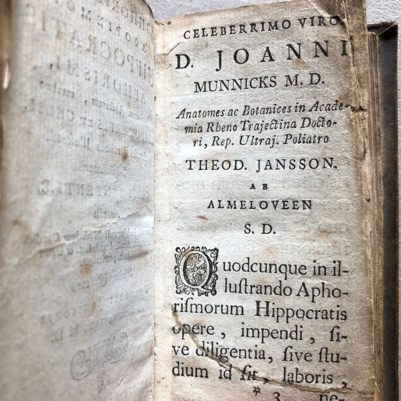 45173683