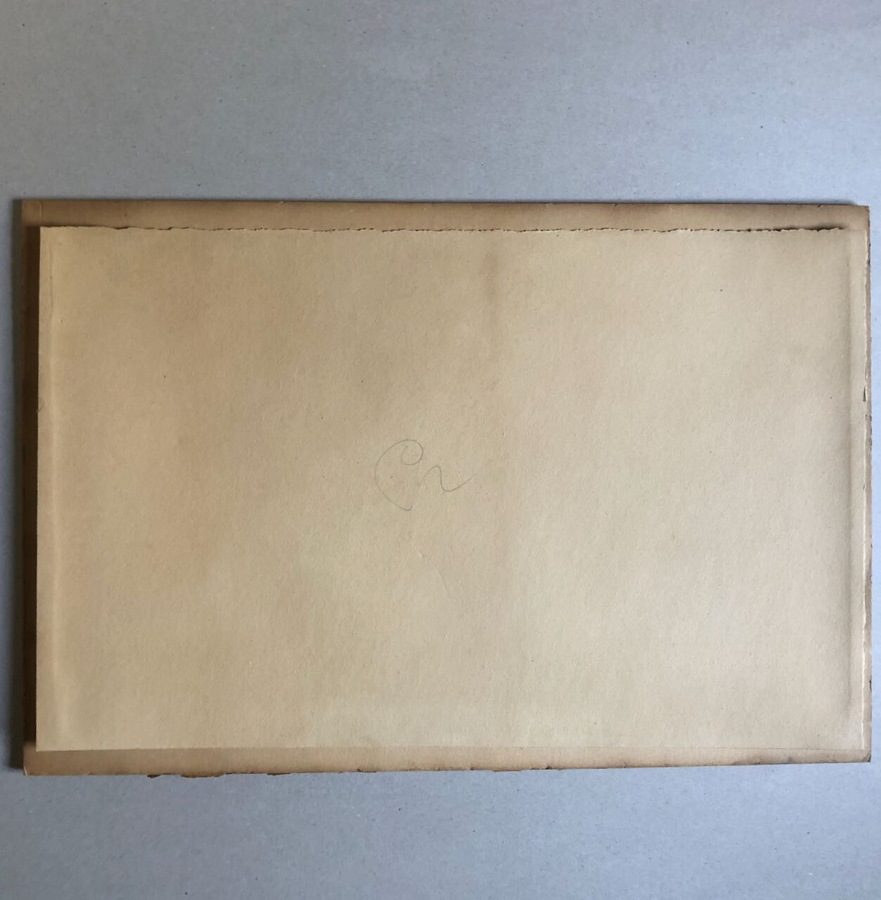 44985146