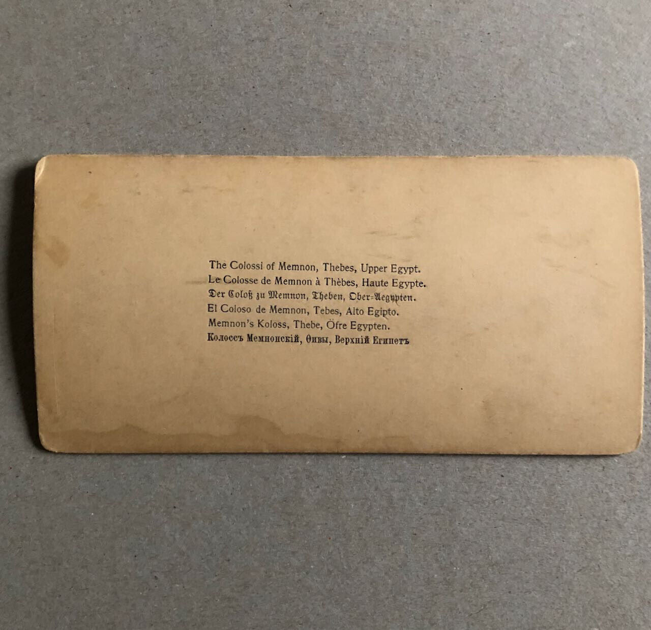 43691104