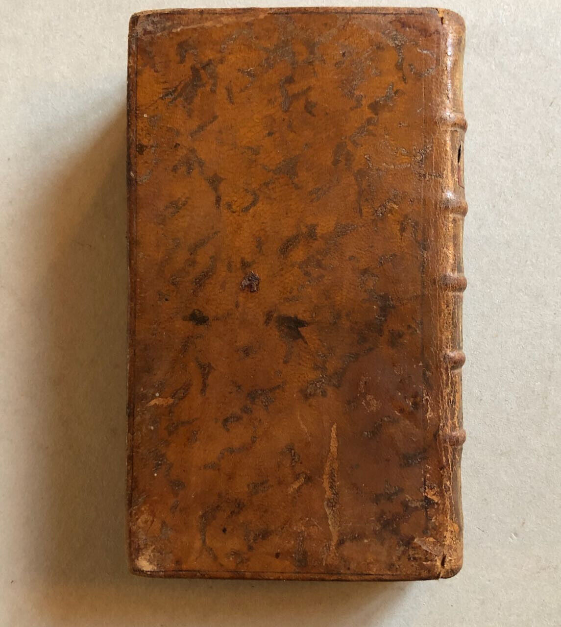 43676058