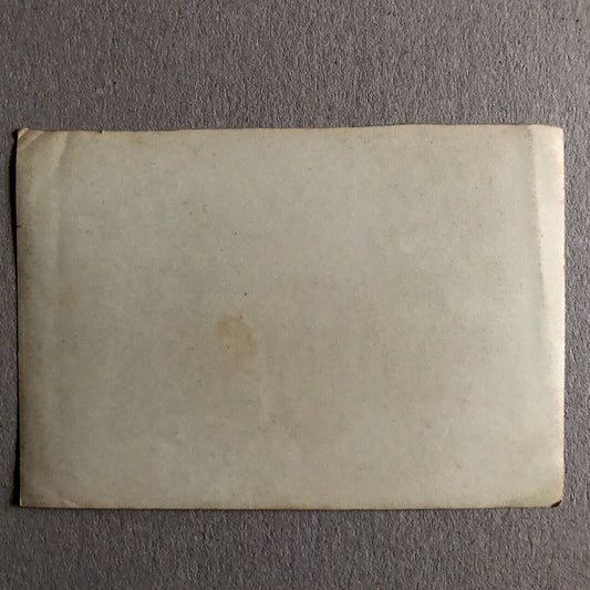 44049551