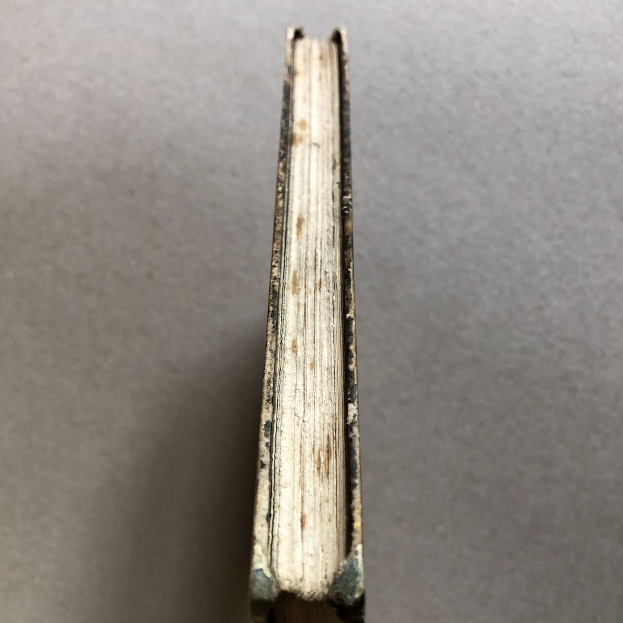 44886388