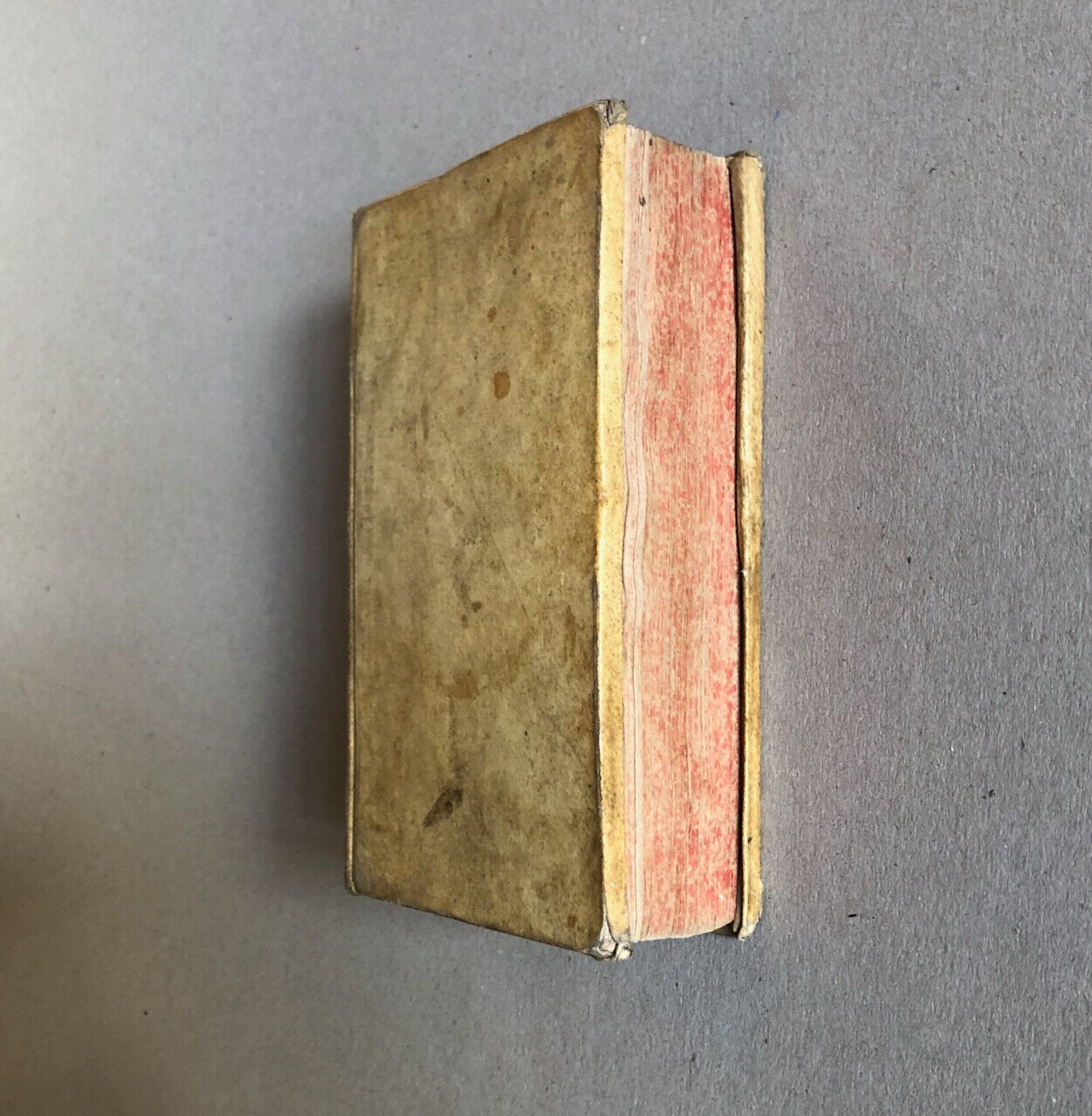 Concile de Trente — Gravure frontispice — Paronium — 1744.