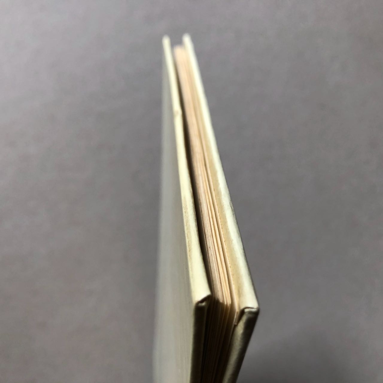 47291906