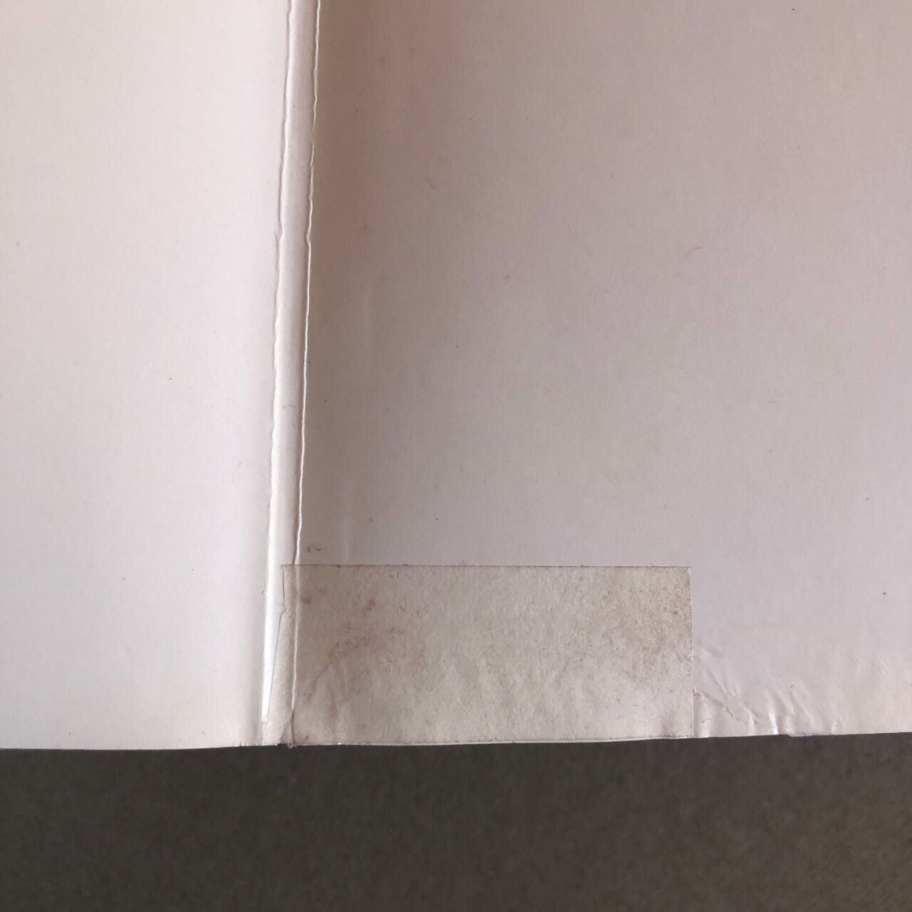 43708557