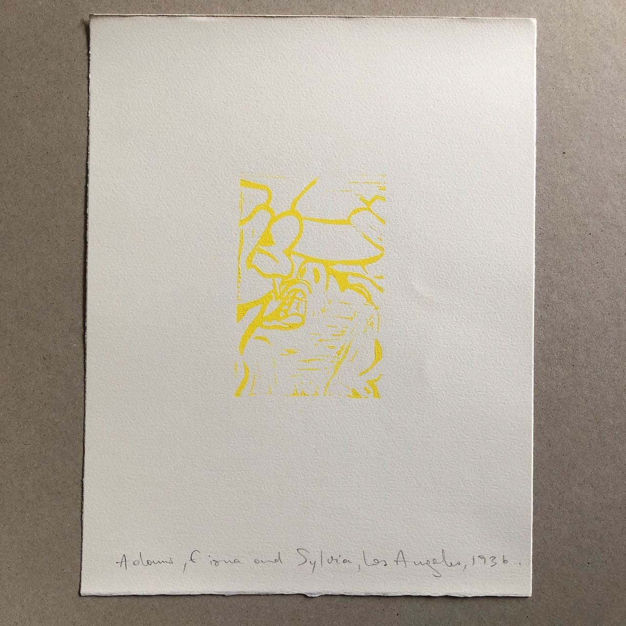45466011