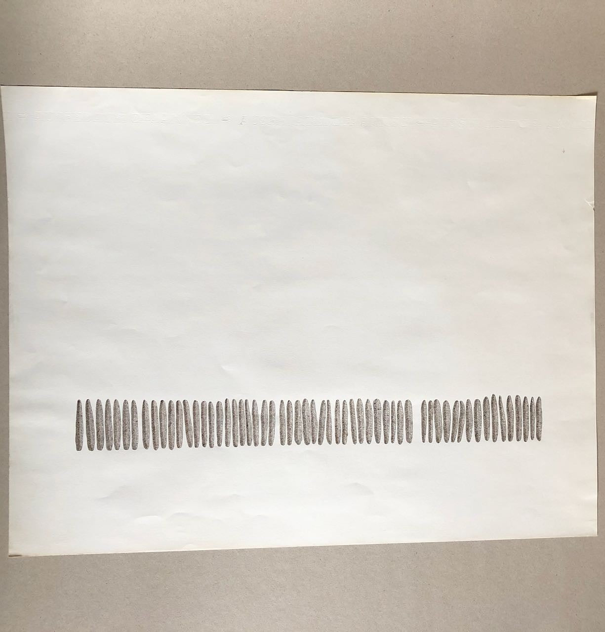45320380