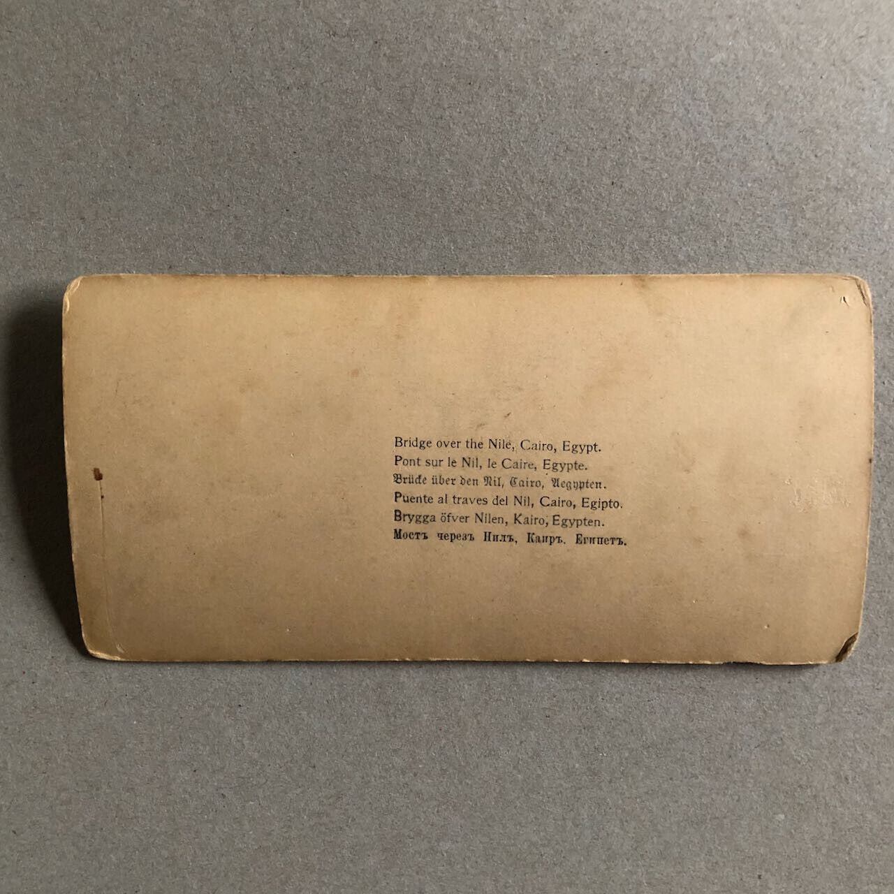 43691132