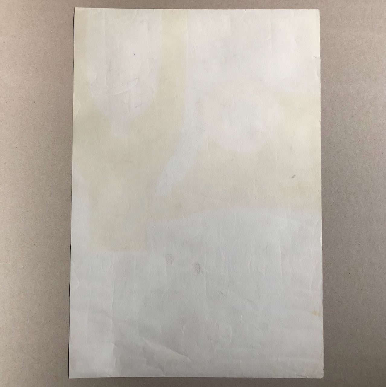 45302317