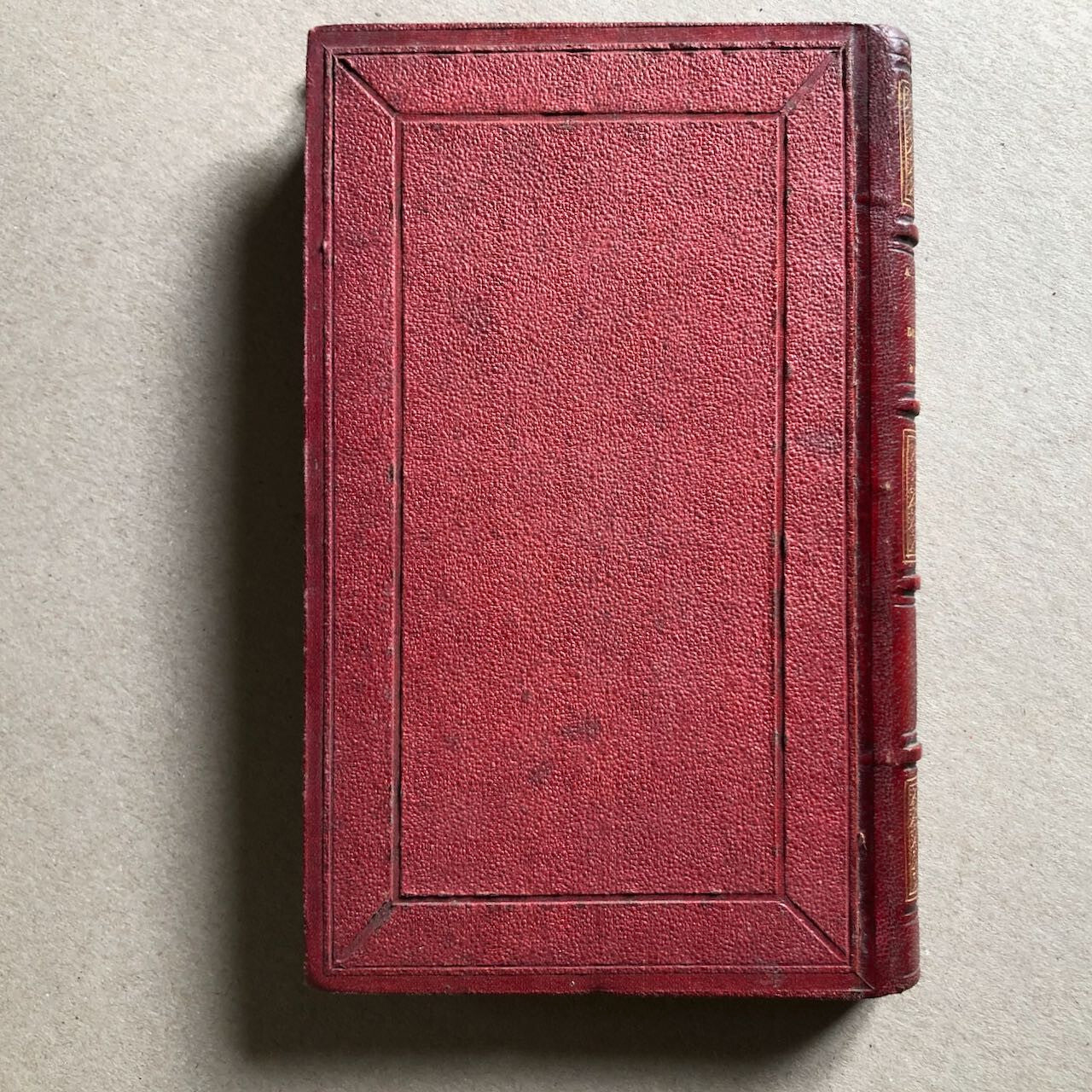 44613730