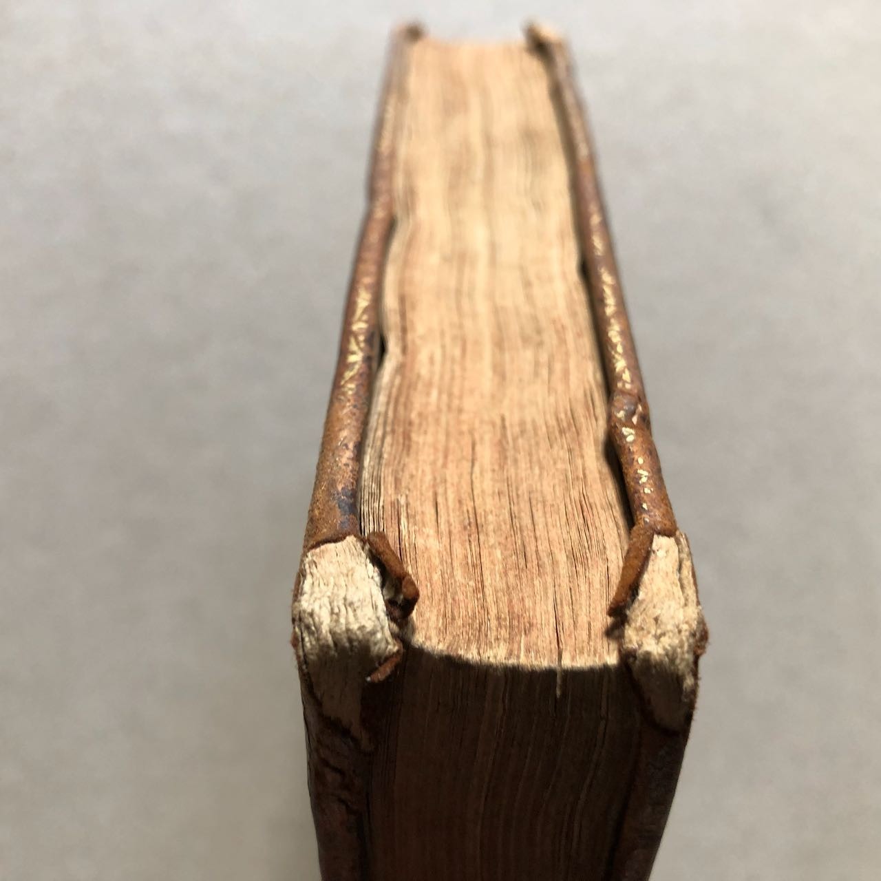 45679108