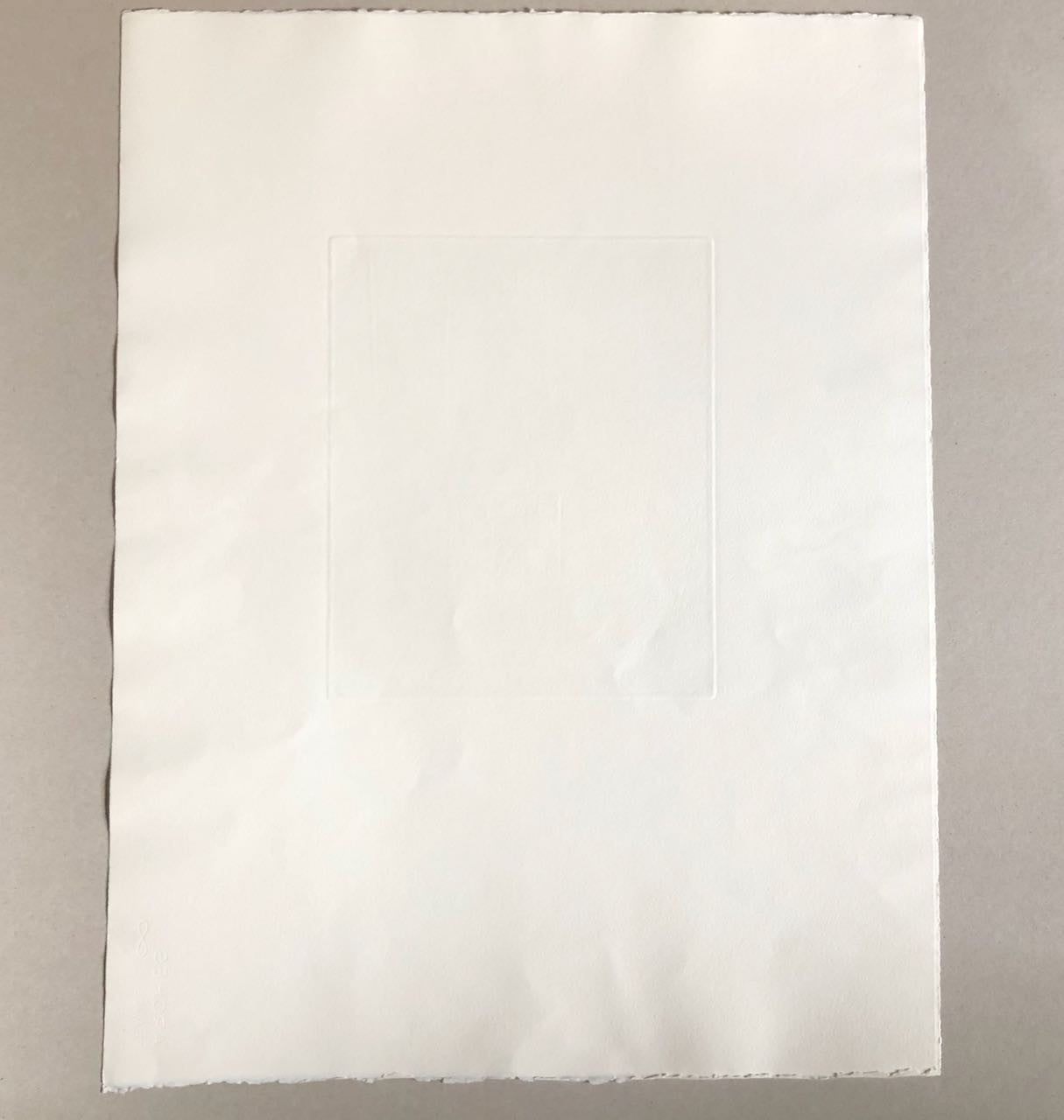 45316365